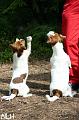 110514_lilli inka